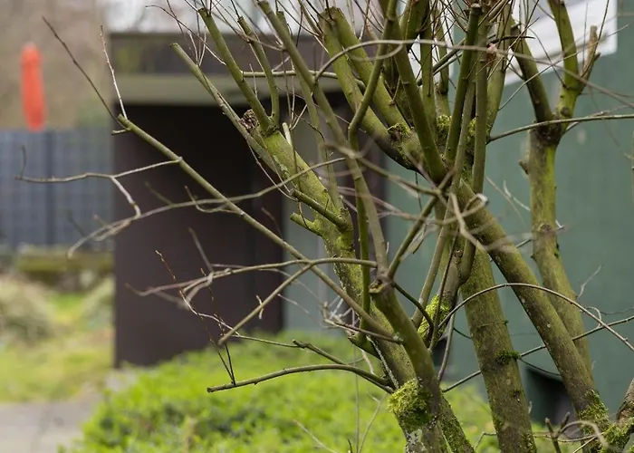 Apartament Schoene 008 Am Mit Wi-fi & Netflix *